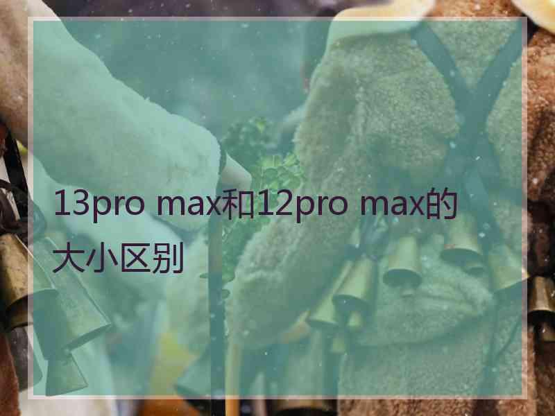 13pro max和12pro max的大小区别