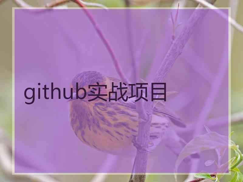 github实战项目