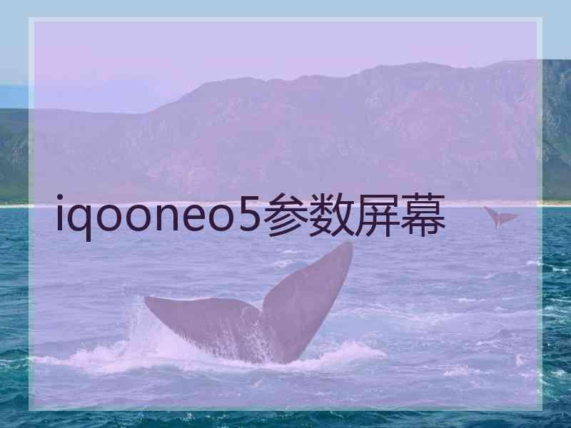 iqooneo5参数屏幕