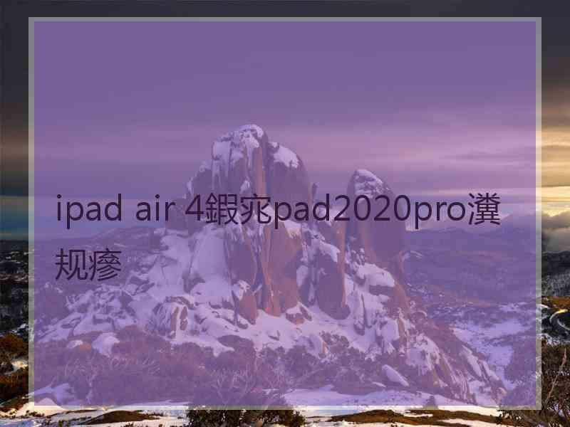 ipad air 4鍜宨pad2020pro瀵规瘮