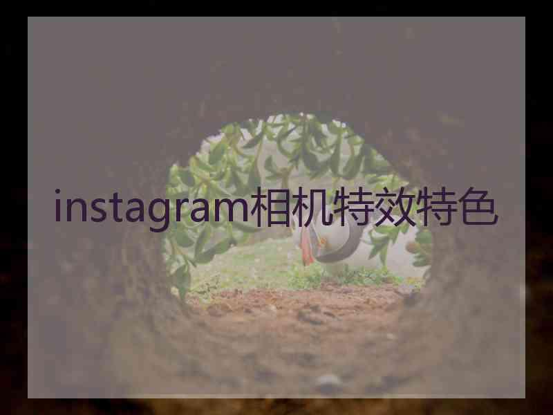 instagram相机特效特色