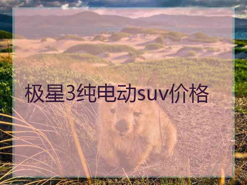 极星3纯电动suv价格