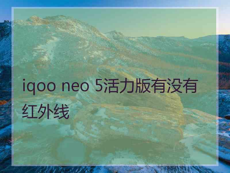 iqoo neo 5活力版有没有红外线