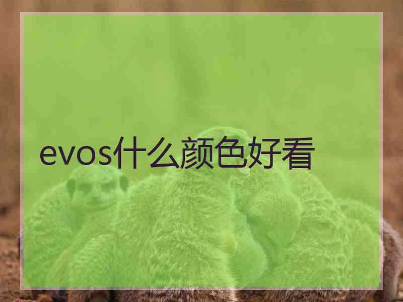 evos什么颜色好看