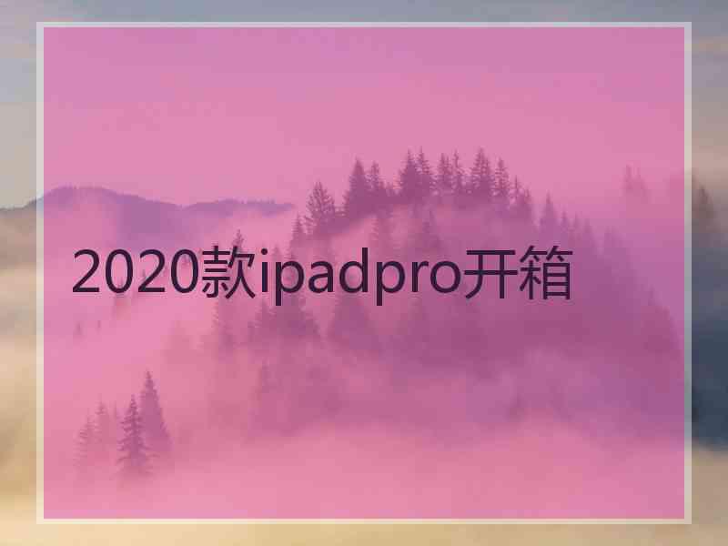 2020款ipadpro开箱