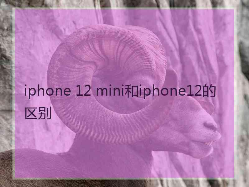 iphone 12 mini和iphone12的区别