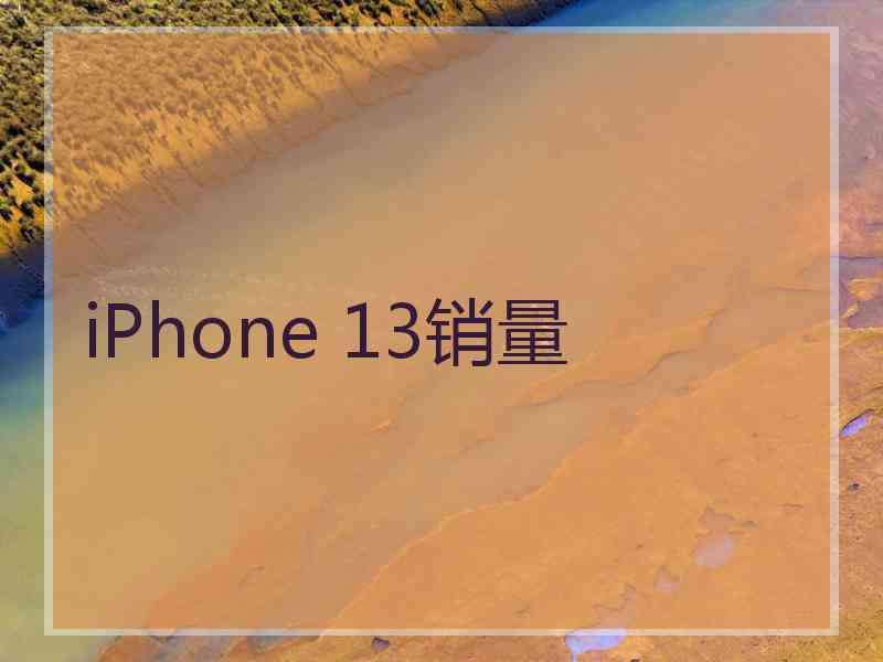 iPhone 13销量