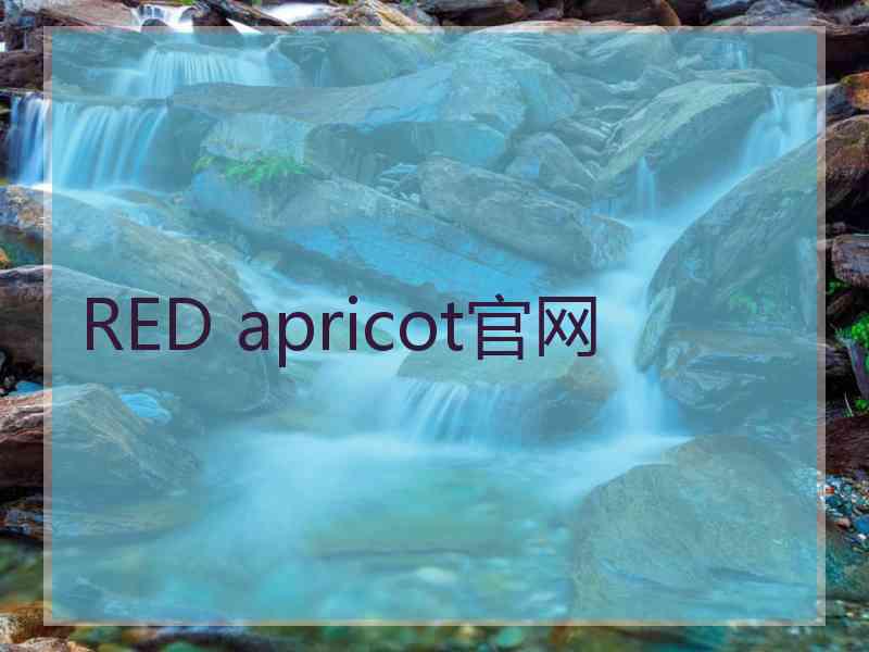 RED apricot官网