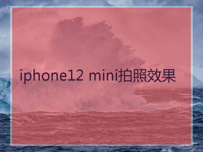 iphone12 mini拍照效果