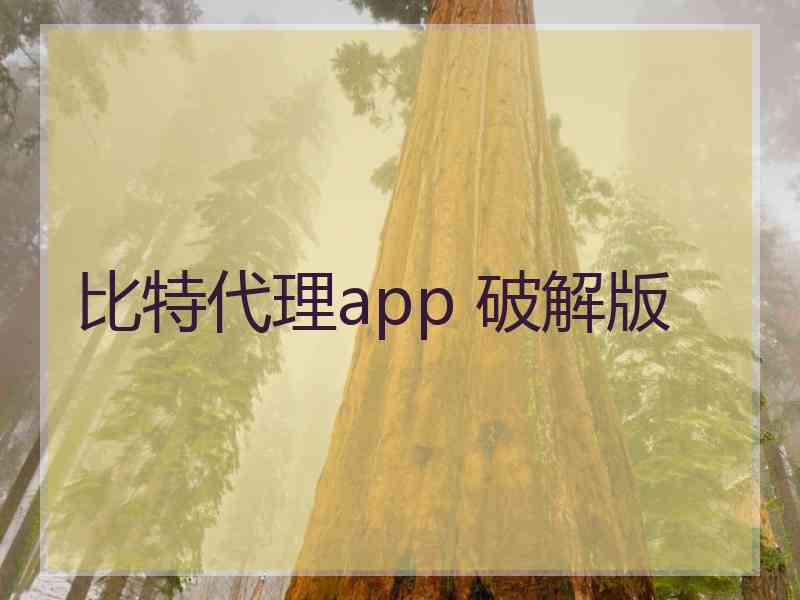 比特代理app 破解版