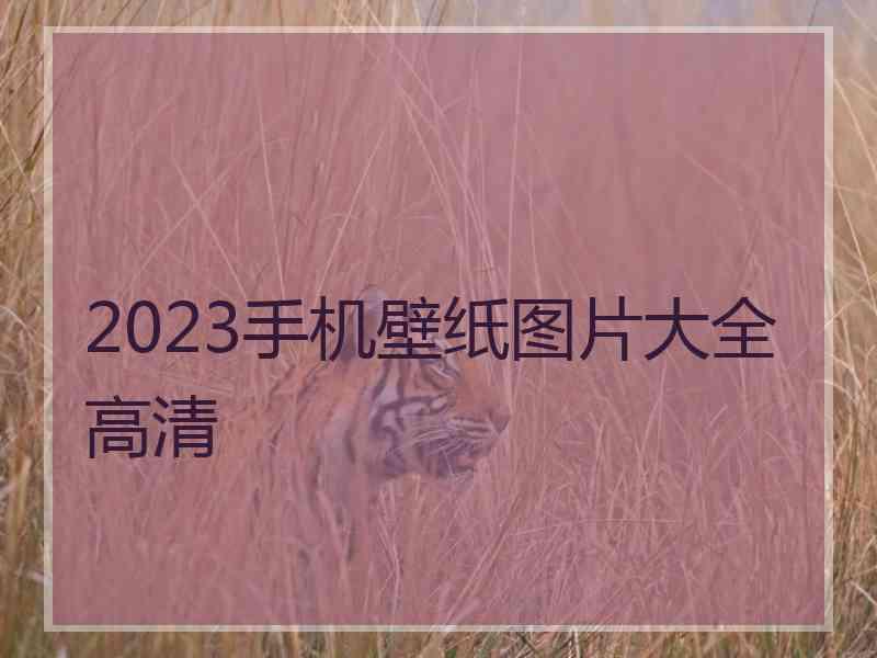 2023手机壁纸图片大全高清