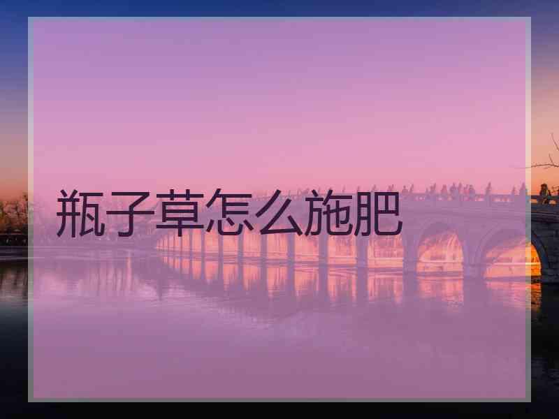 瓶子草怎么施肥