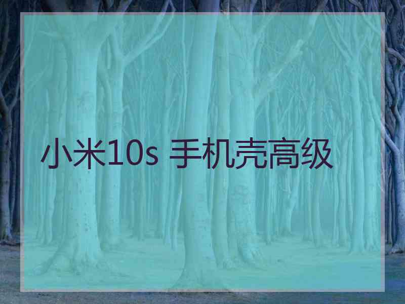 小米10s 手机壳高级