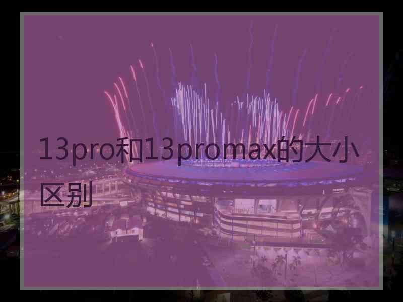 13pro和13promax的大小区别