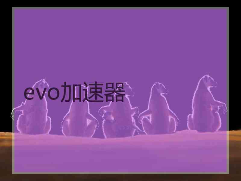 evo加速器