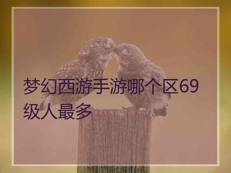 梦幻西游手游哪个区69级人最多