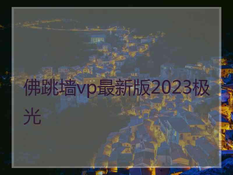 佛跳墙vp最新版2023极光