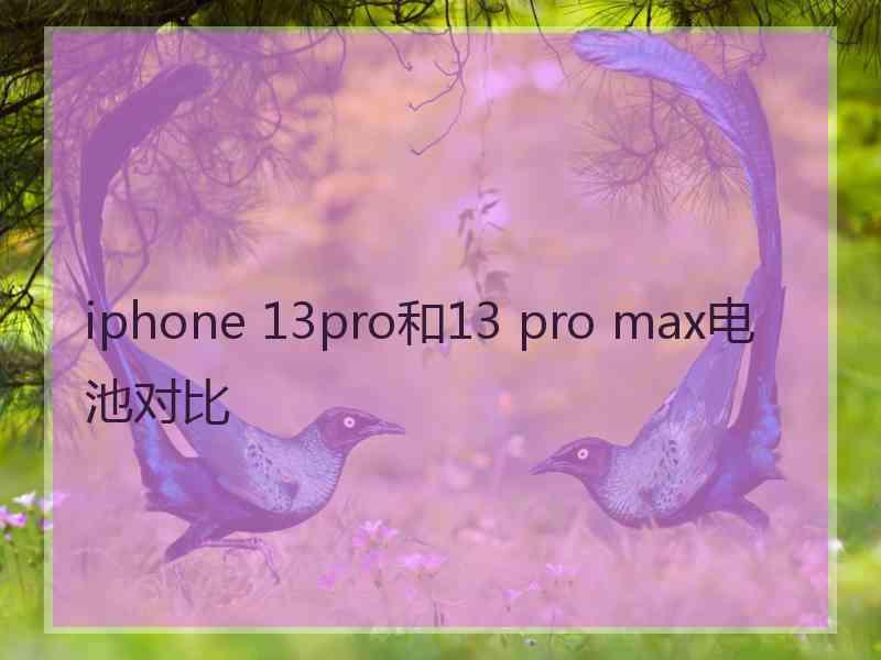 iphone 13pro和13 pro max电池对比