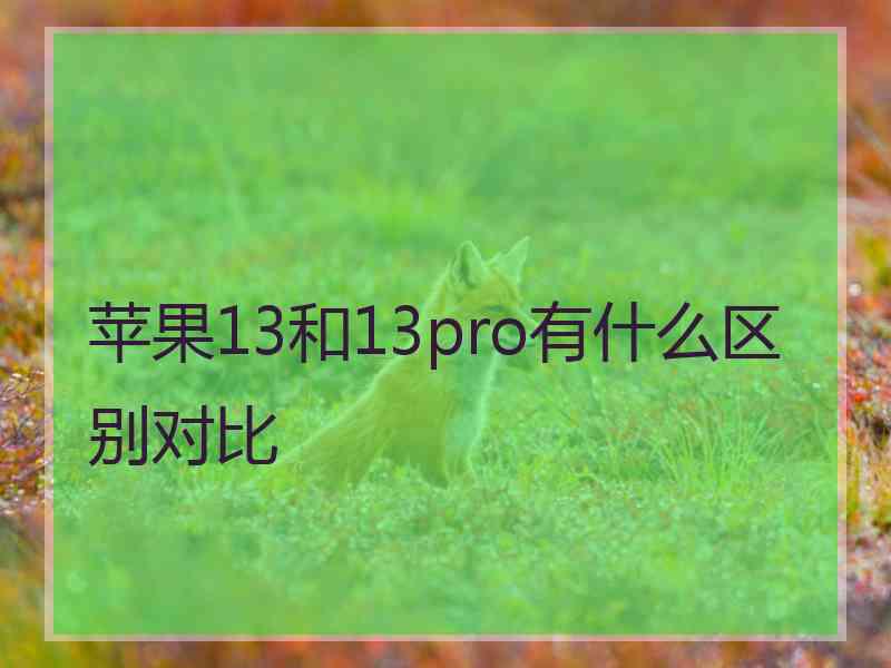 苹果13和13pro有什么区别对比