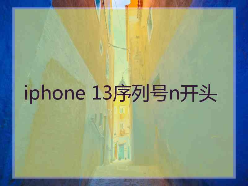 iphone 13序列号n开头