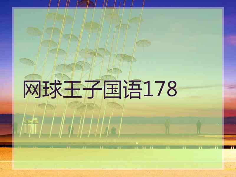 网球王子国语178