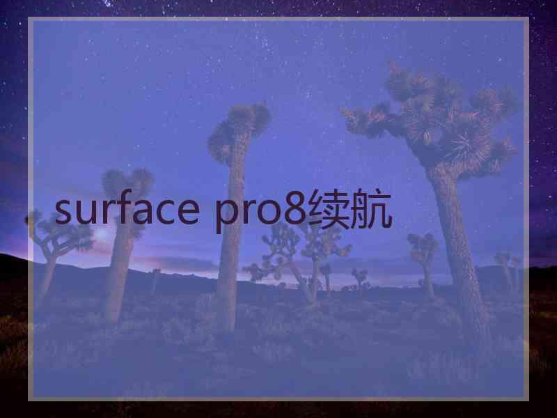 surface pro8续航