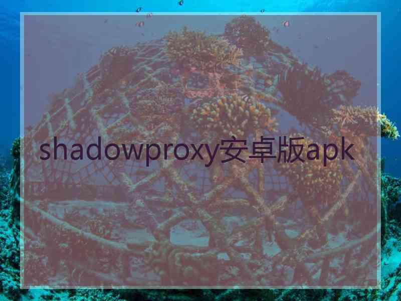 shadowproxy安卓版apk