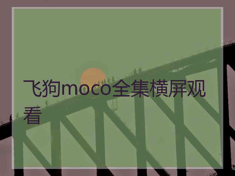 飞狗moco全集横屏观看