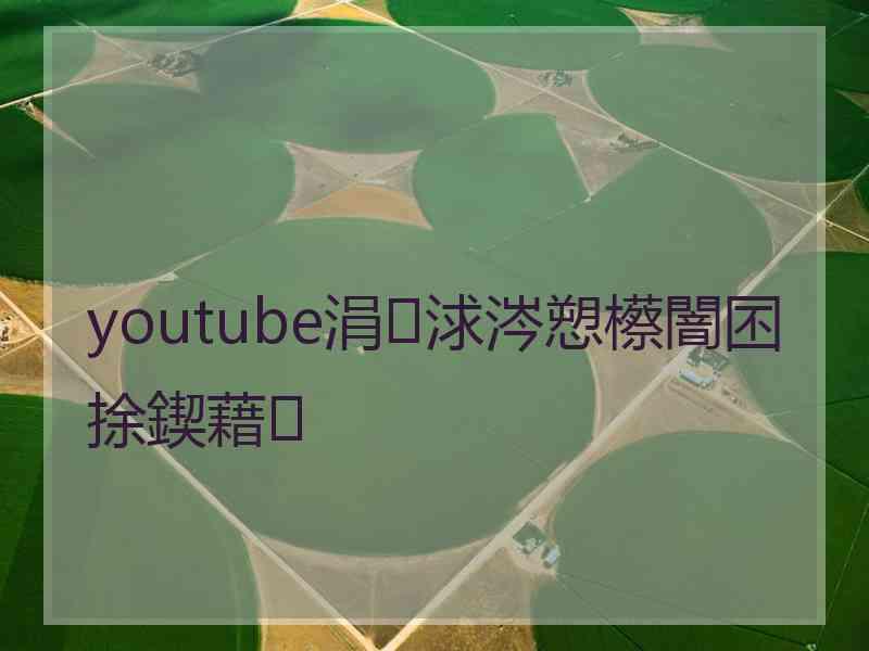 youtube涓浗涔愬櫒闇囨捈鍥藉