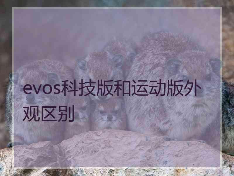 evos科技版和运动版外观区别