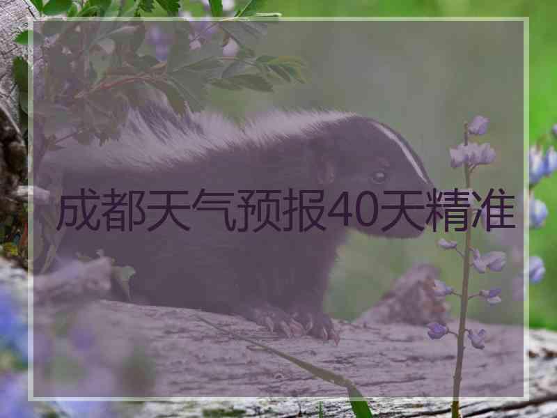 成都天气预报40天精准