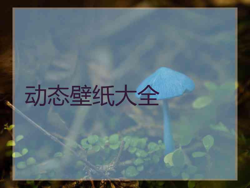 动态壁纸大全