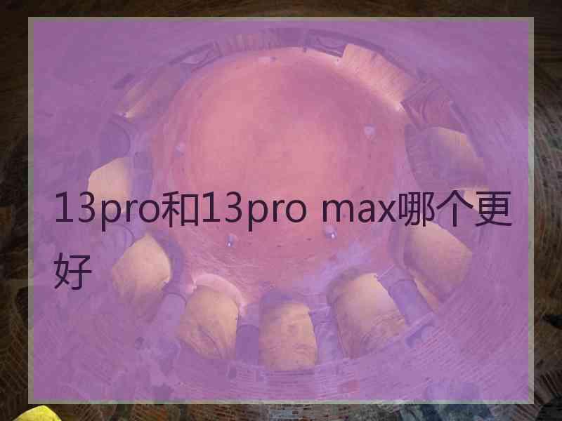 13pro和13pro max哪个更好