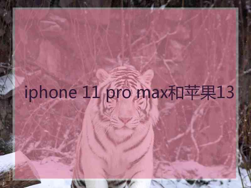 iphone 11 pro max和苹果13