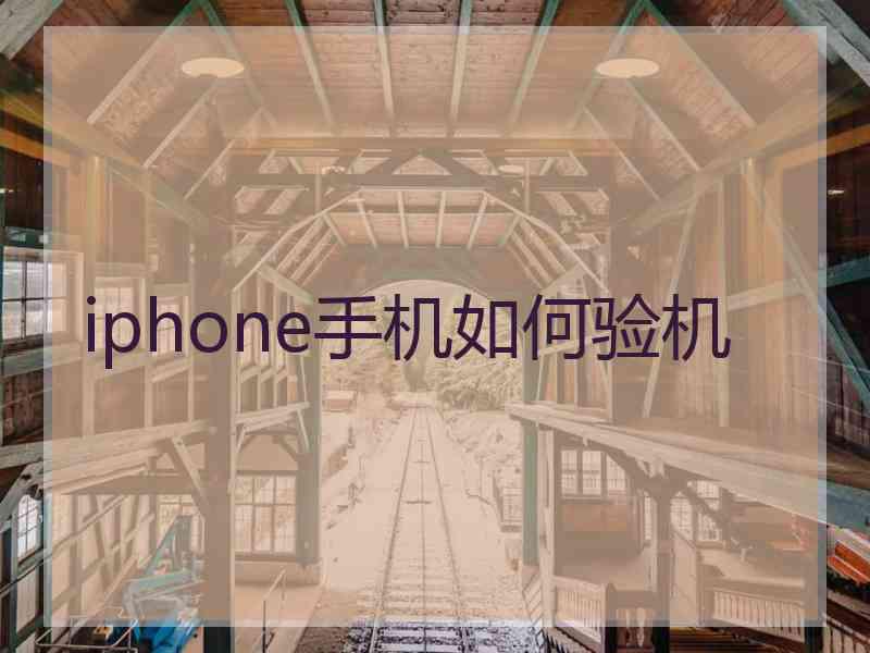 iphone手机如何验机