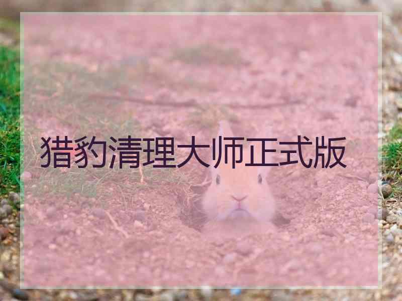 猎豹清理大师正式版