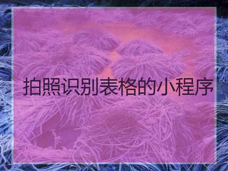 拍照识别表格的小程序