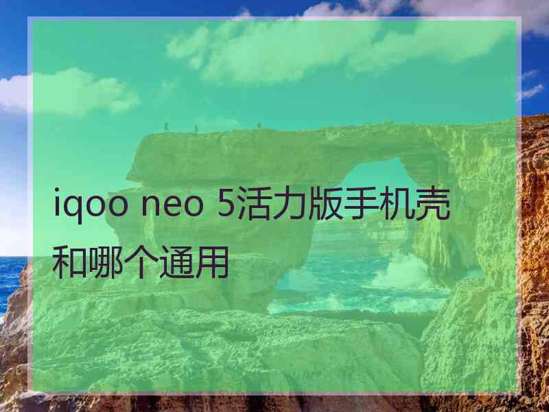 iqoo neo 5活力版手机壳和哪个通用