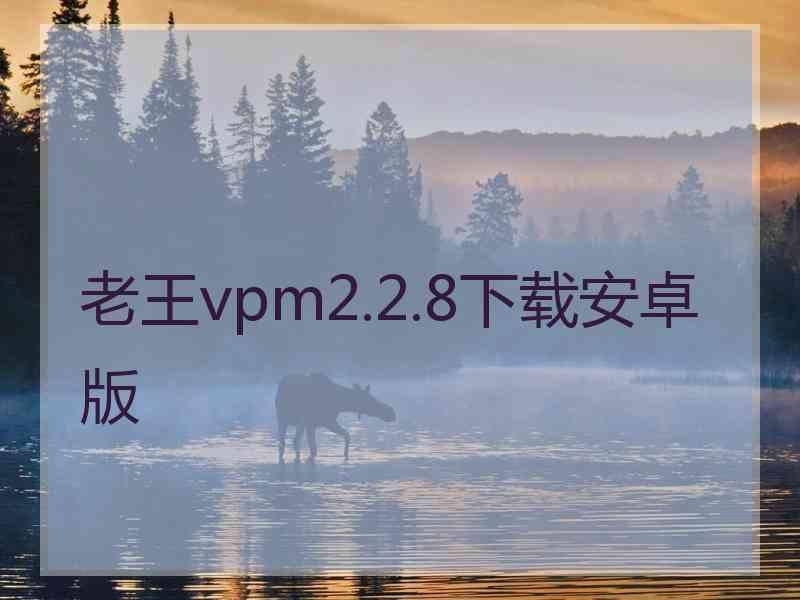 老王vpm2.2.8下载安卓版