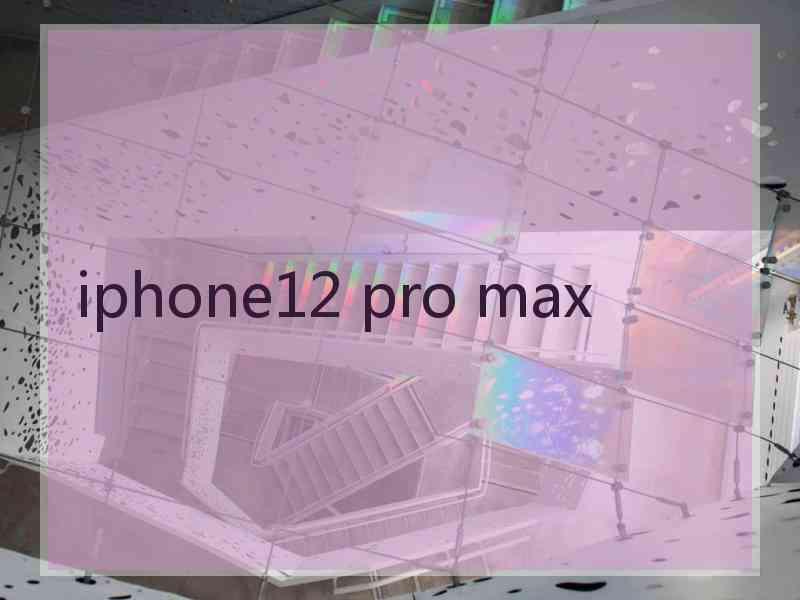 iphone12 pro max