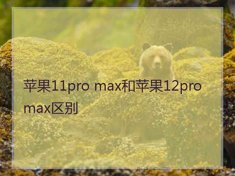 苹果11pro max和苹果12pro max区别