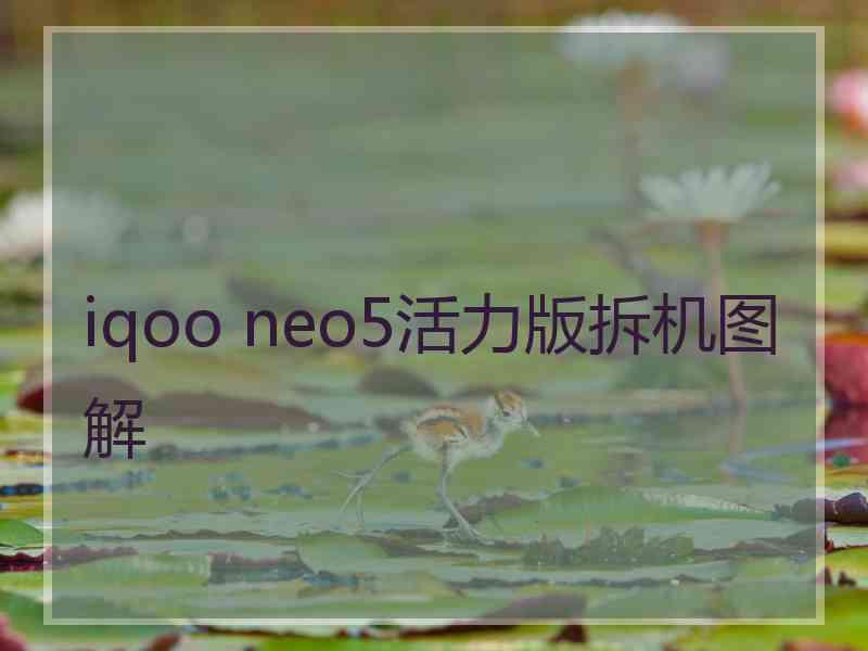 iqoo neo5活力版拆机图解