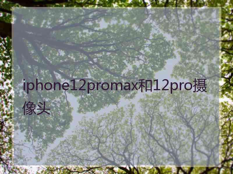 iphone12promax和12pro摄像头