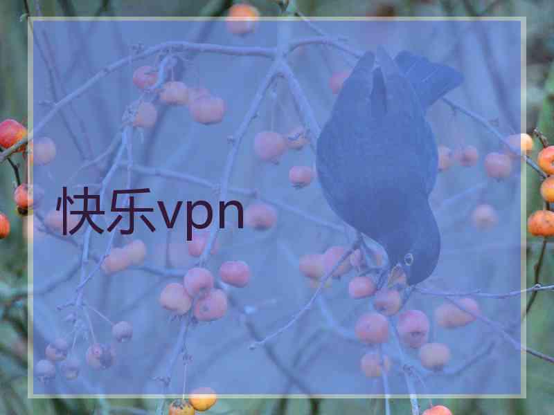 快乐vpn