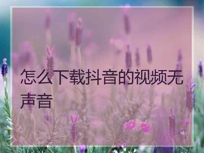 怎么下载抖音的视频无声音