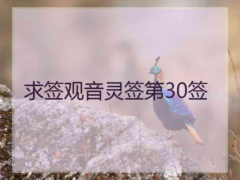 求签观音灵签第30签