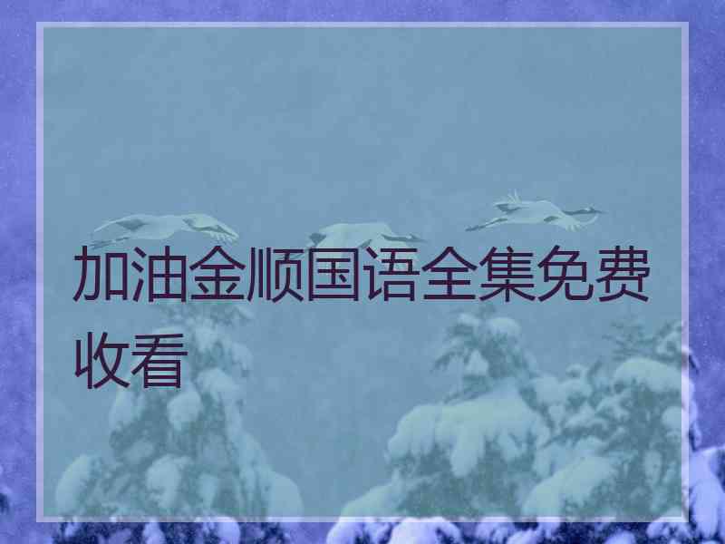 加油金顺国语全集免费收看