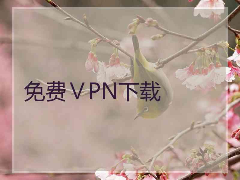 免费ⅤPN下载