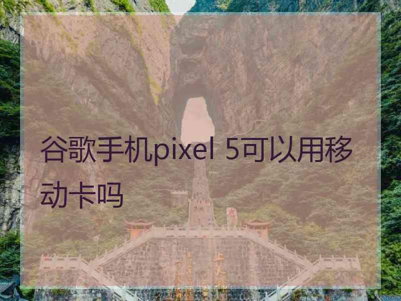 谷歌手机pixel 5可以用移动卡吗