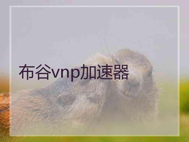 布谷vnp加速器